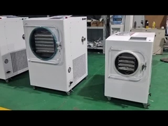 0.36-1.6m2 HT-4S/6S/9S/14S Schnelle Lieferung Frisch zu Hause halten Gefriertrockner