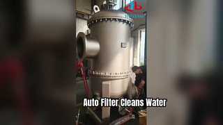 Auto-Rückspülfilter