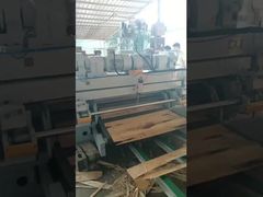 Schnellschälmaschine