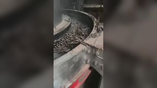 Biomasse-Pelletmaschine in Aktion: Stabil hohe Leistung