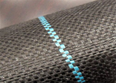 Dauerhaftes Geosynthetic-Gewebe-verhindern flache Garn-pp. gesponnene Geotextilien für Gras wachsen